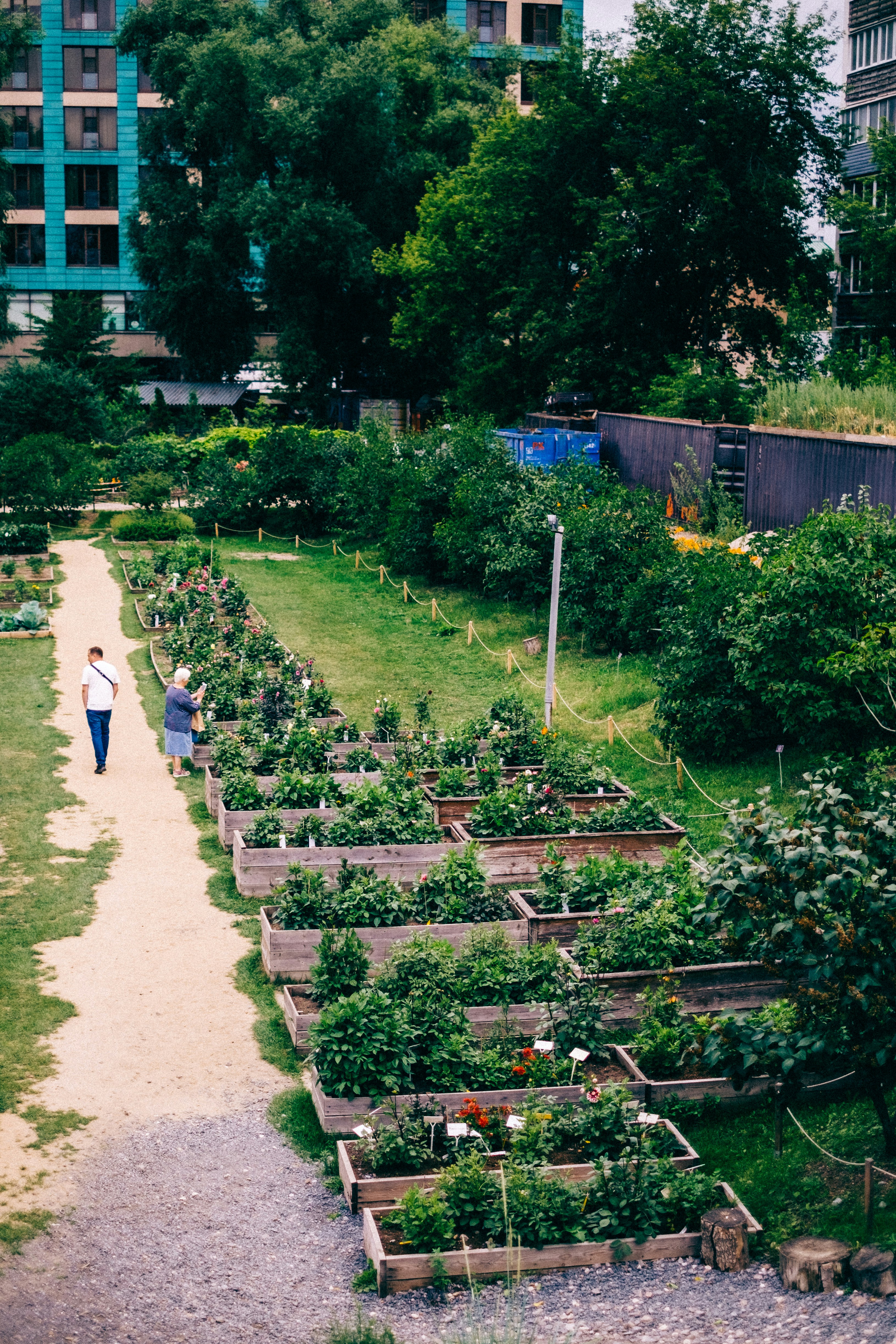 How Community Gardening Initiatives Foster Social Interaction in Cities