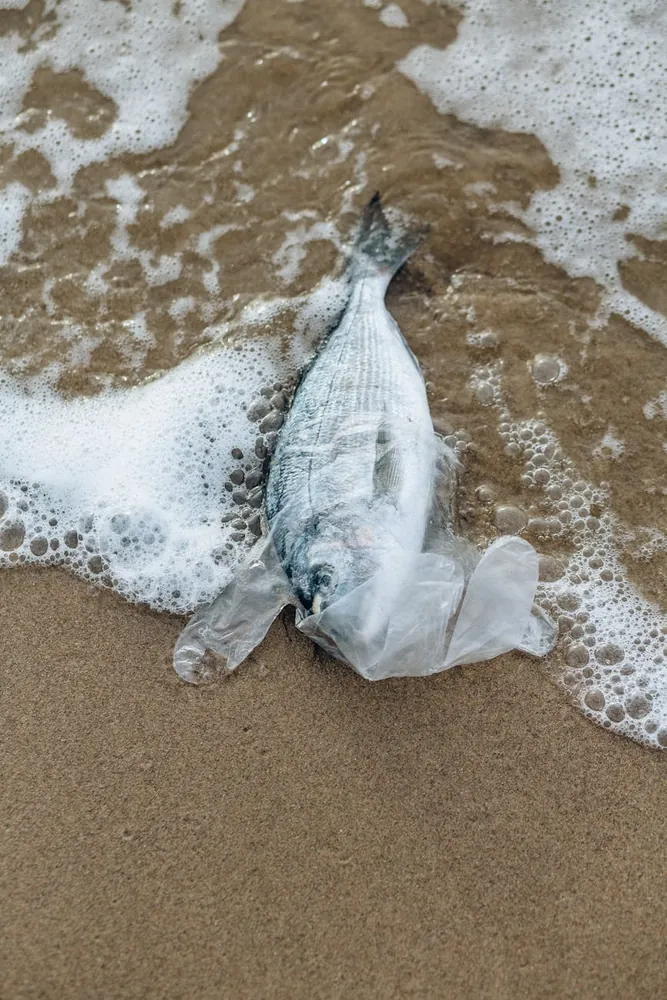 Documenting shifts in fish populations due to microplastic pollution in oceans