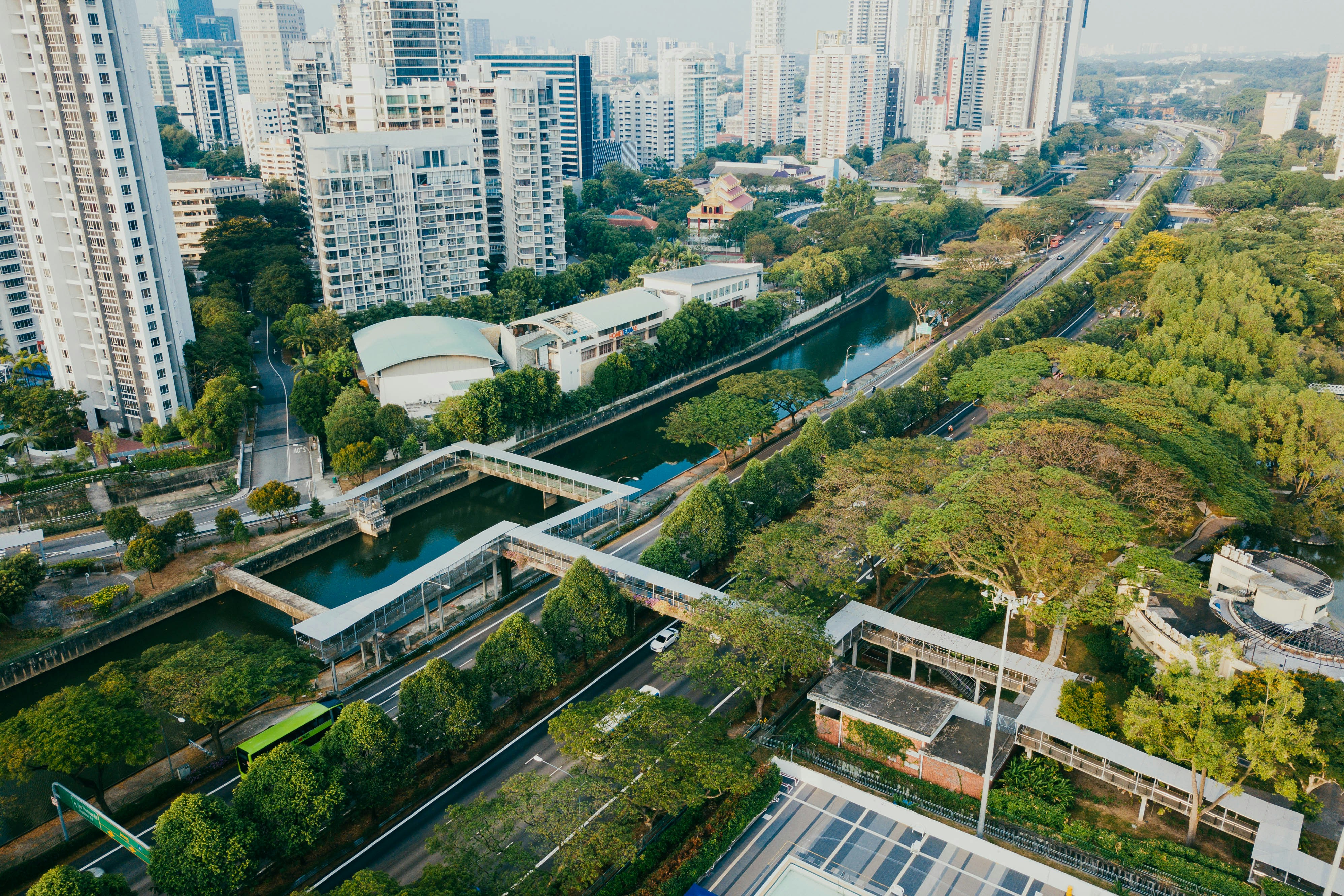 Harnessing Nature's Wisdom for Innovative Urban Planning Solutions