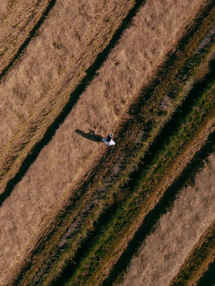 Transforming Farming: How AI Drones Enhance Crop Yields and Sustainability