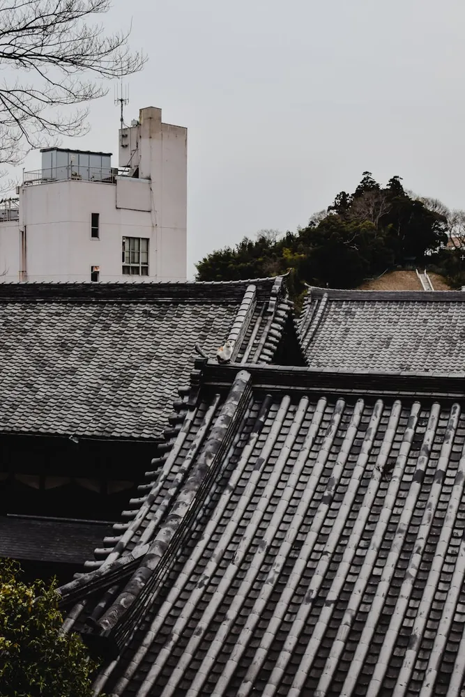 Discover Japan's Historic Temples and Futuristic Urban Landscapes
