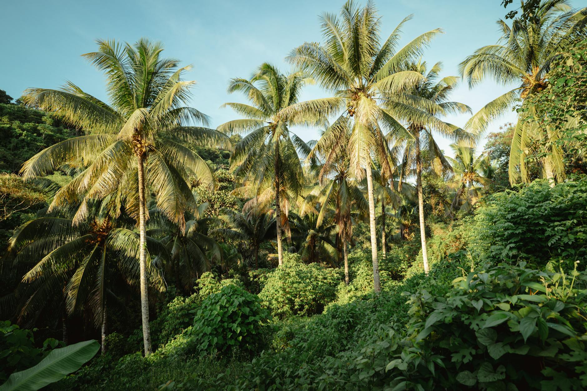 Eco-Friendly Travel: Sustainable Practices for Conscious Explorers